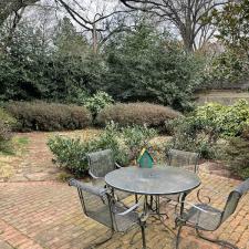 Backyard Leaf Removal in Memphis, TN 2